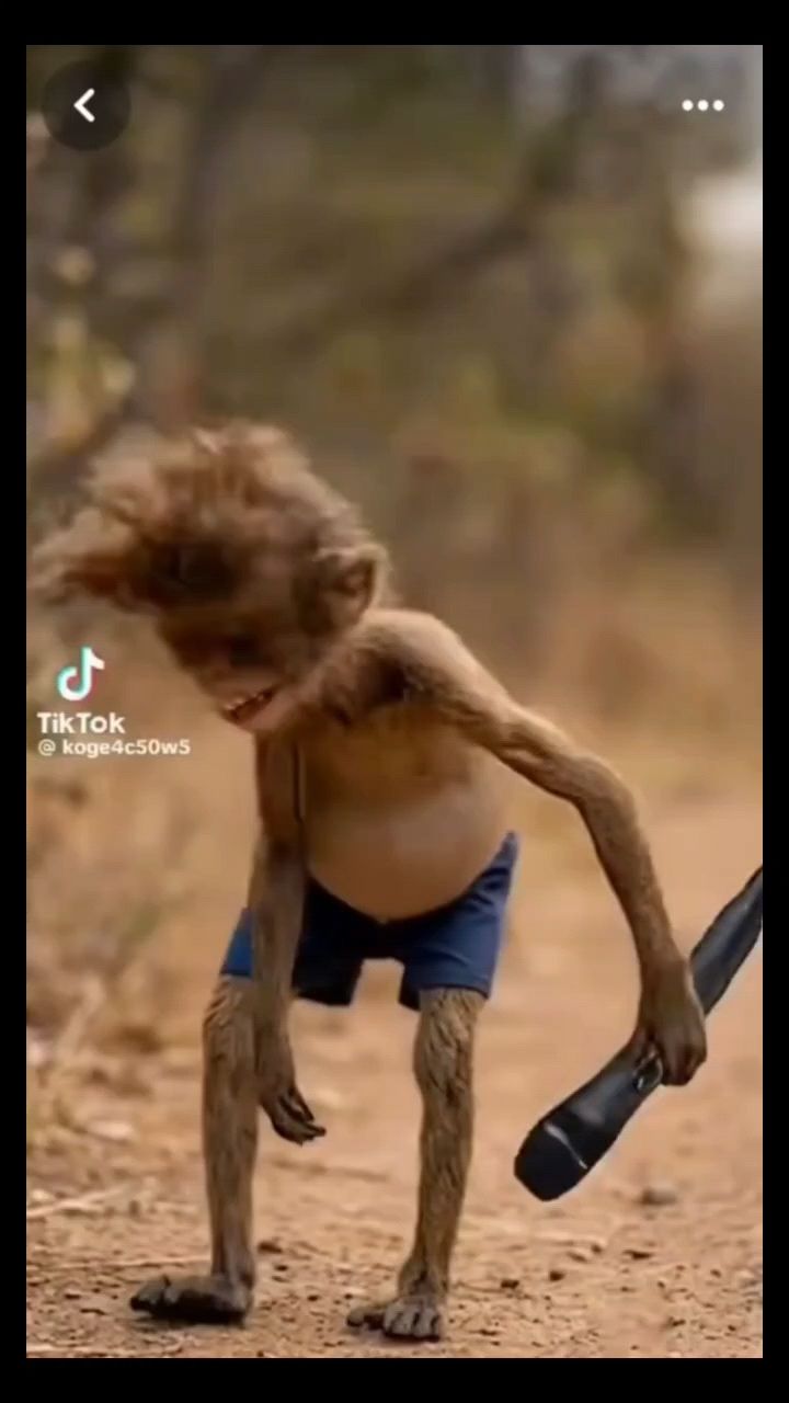  в LOOKY — публикация