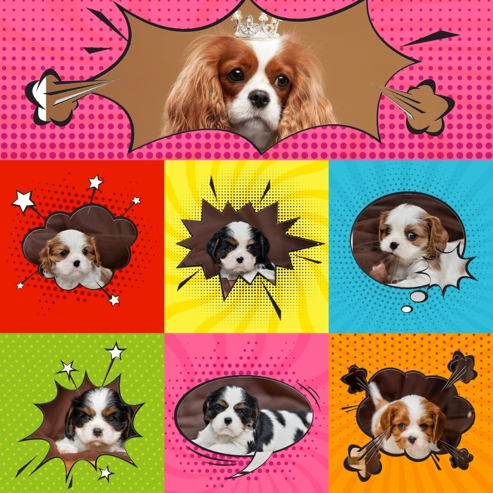 puppengame in LOOKY
