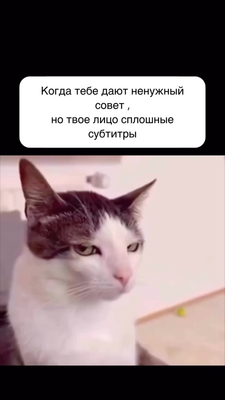 Looky_1713801542302 в LOOKY. . 