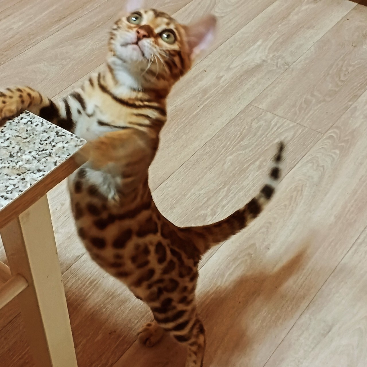 #красотка