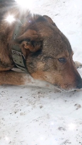 Оксана in LOOKY. . 🤣
