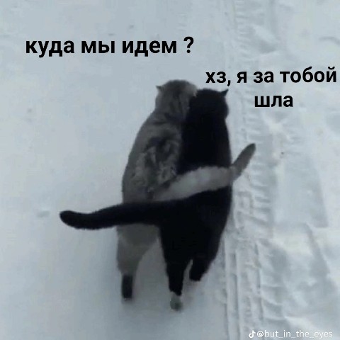 galiuniabelka в LOOKY. #итог_года. #итог_года