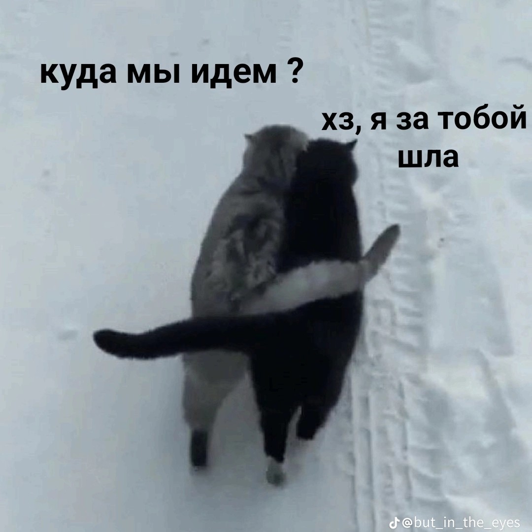 #итог_года