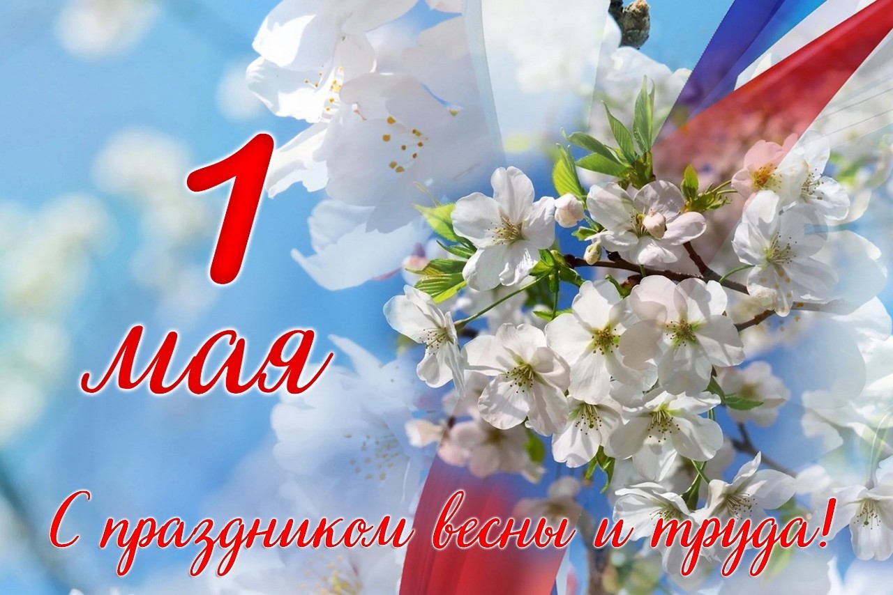 Алёна Никифорова в LOOKY — Всех с праздником 🥳.