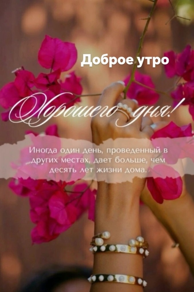 Таролог  Рена Эльф в LOOKY — публикация