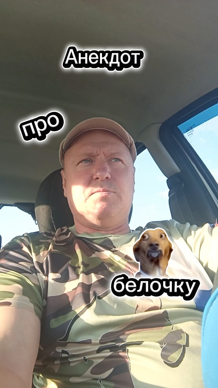 Анекдоты от Белова в LOOKY. . Анекдот про белочку!...