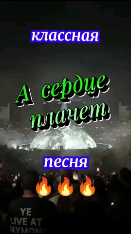ВОЛК СЕРЫЙ в LOOKY — публикация