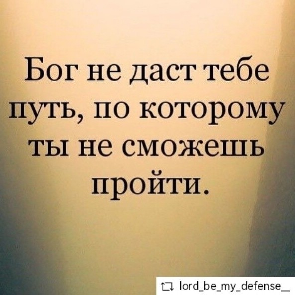 🕊️🕊️🕊️