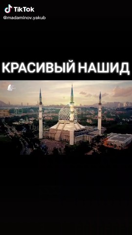  в LOOKY — публикация