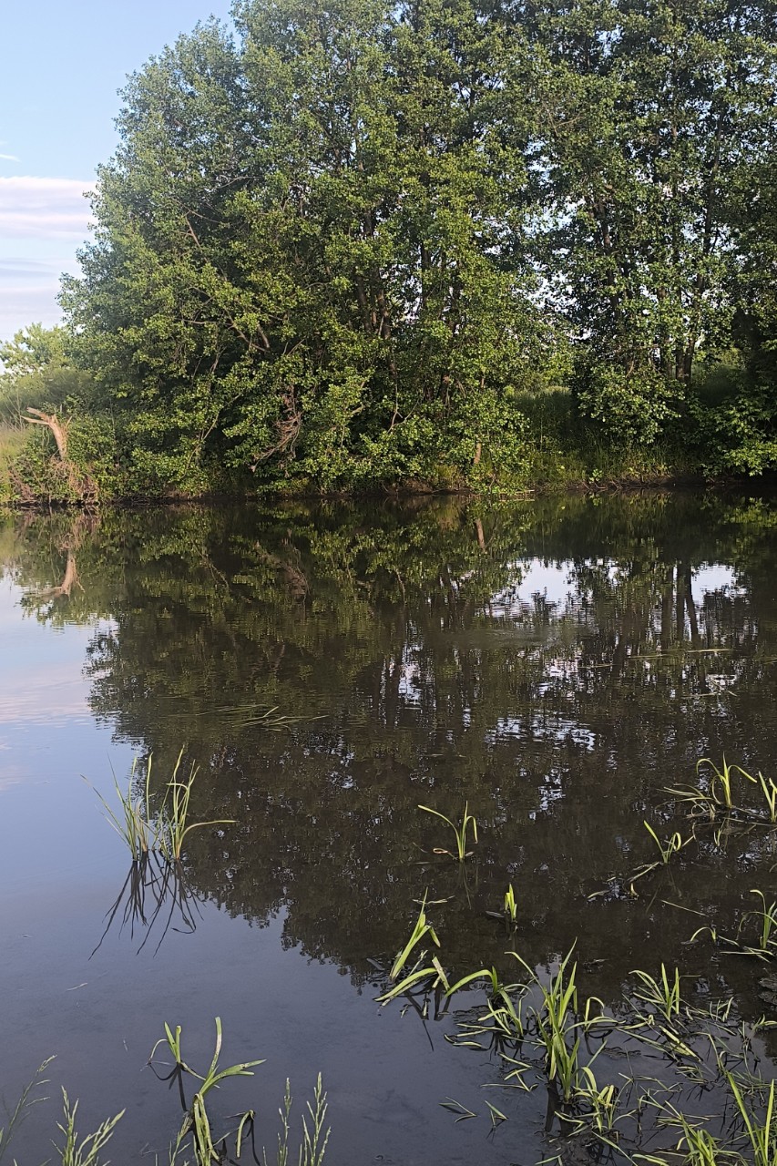 Время, проведенное наедине с природой, бесценно.
#отдых
#природа