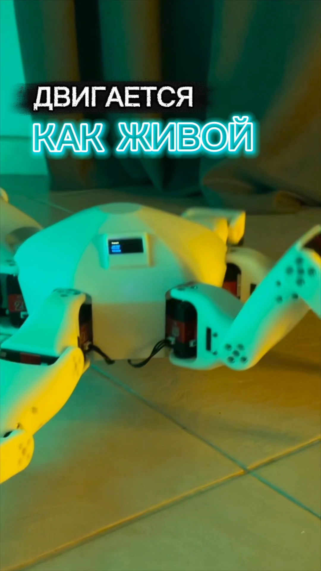 CRAZYBOTS в LOOKY. #HexaRun,#pxlbots,#crazybots,#роботы,#инновации,#hexapod. Это не просто гонка ...