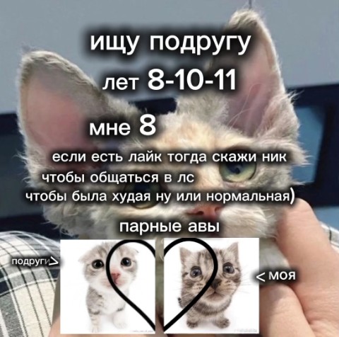 Котикс ушлаXS in LOOKY. #КОТИК,#ИЩУ_подругу. ИЩУ ПОДРУГУ))))) #КО...