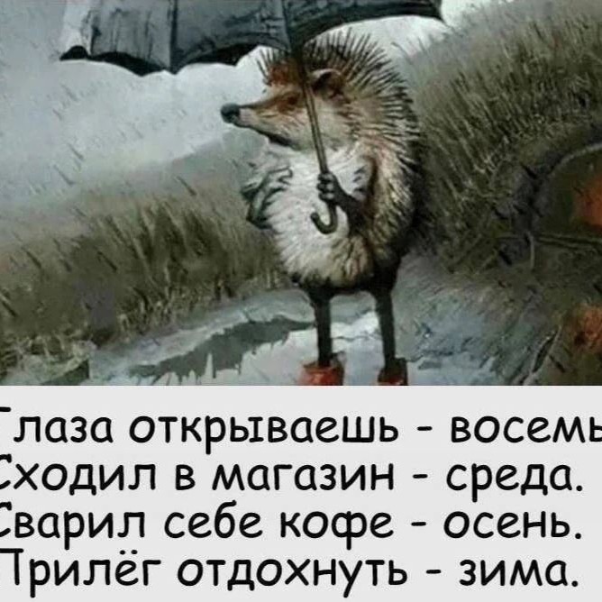 Evgeniy_Smexov в LOOKY — публикация