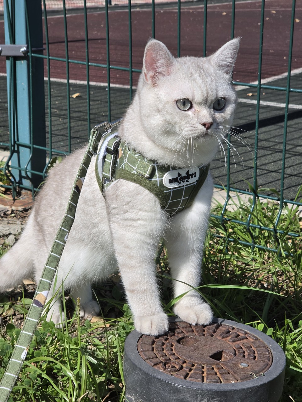 Marusya в LOOKY — #сладкий#сахар