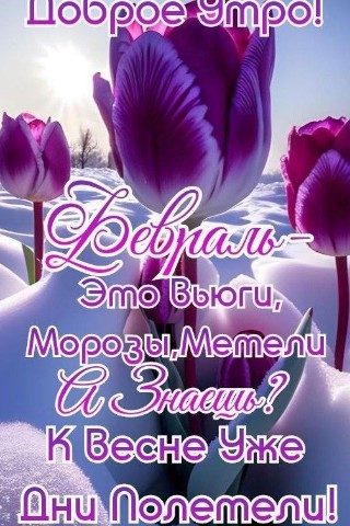 Олик Саргош в LOOKY. . 