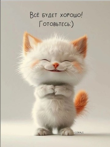 Looky_1697995680656 в LOOKY. #чемпионат_мира_2026. #чемпионат_мира_2026