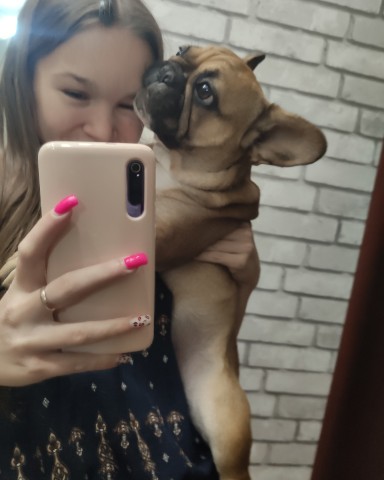 Настя Тип - Топ в LOOKY. . 🐶 [#dog ](dog)[#pet...