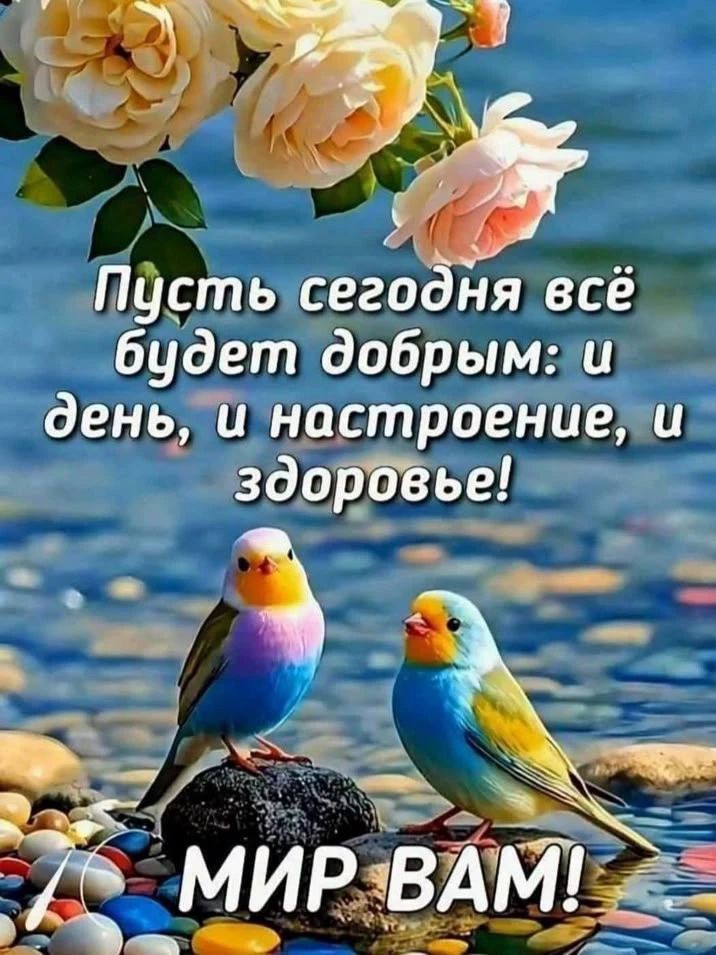 Сириус в LOOKY — публикация