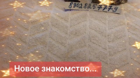 svetlanazaryanova1 в LOOKY — публикация