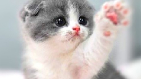 Looky_1698772013941 в LOOKY. . 🗣️❣️❣️❣️❣️❣️❣️❣️❤️❣...