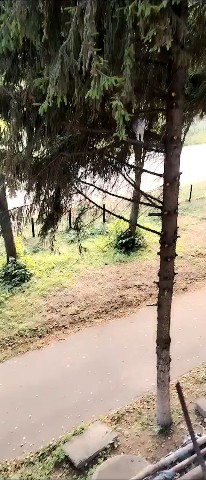 NEMI в LOOKY — Белка