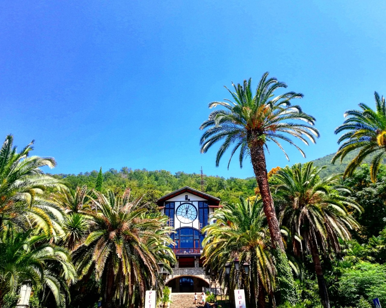 Mia insulo в LOOKY — фото 3