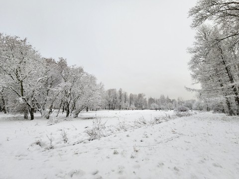 Azzi в LOOKY. . Зима в Санкт-Петербу...