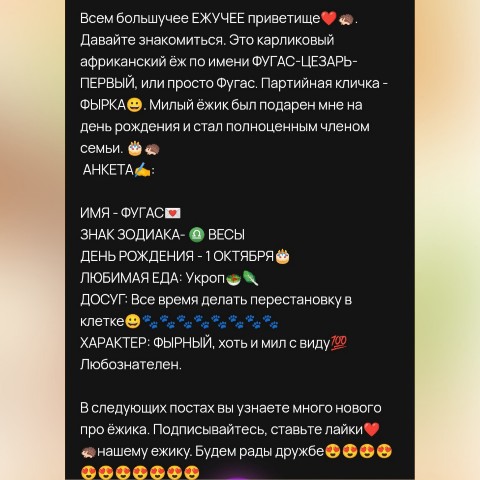 ЁЖкины ПРОделки в LOOKY. #топ,#еж,#африканскийеж,#карликовыйеж,#топблогеры,#питомцы,#животные,#юмор,#счастье,#семья. АНКЕТА ЁЖИКА

#топ #...