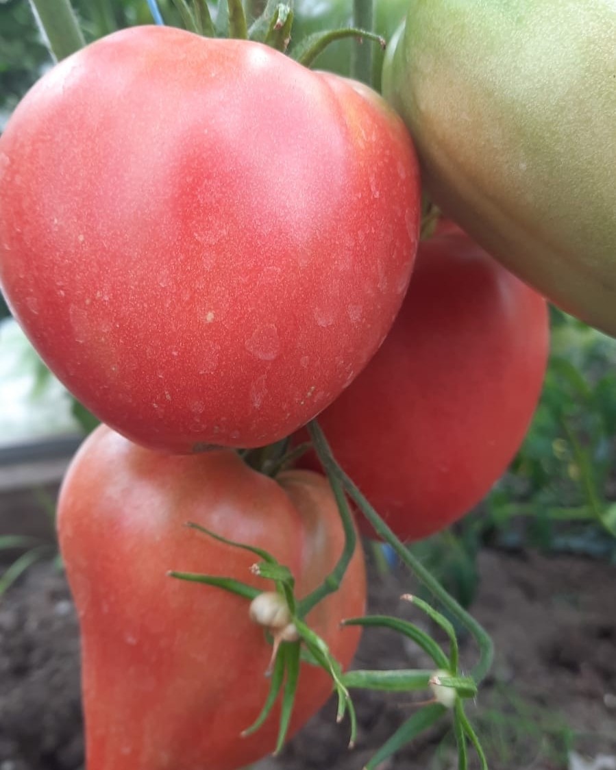 michael_mick71 в LOOKY — фото 1