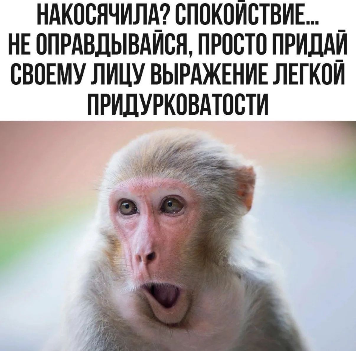 Tatiana Ubushaeva в LOOKY — публикация