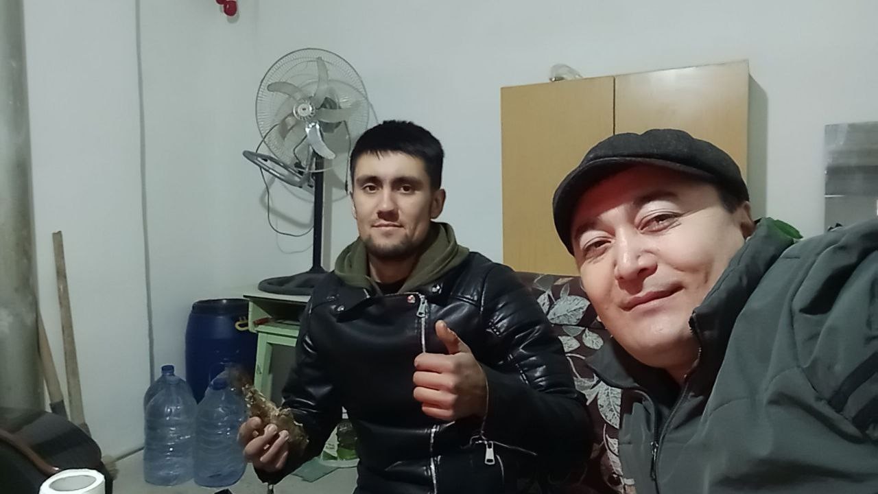 Ночной Сон в LOOKY — публикация