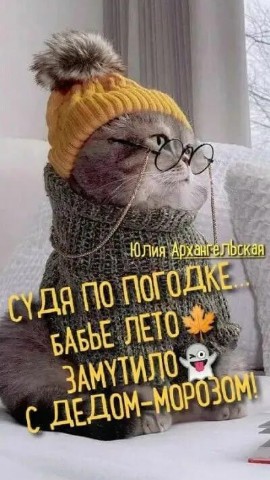 bondarenko_nati в LOOKY. . 