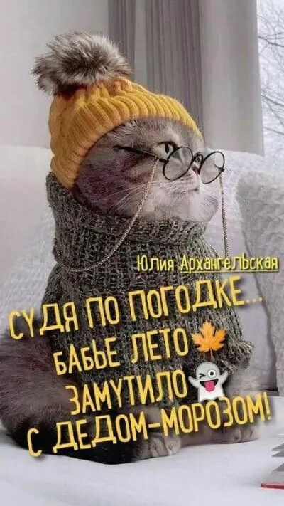 bondarenko_nati