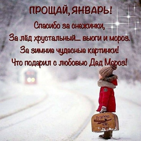 Looky_1669302027848 в LOOKY. . 