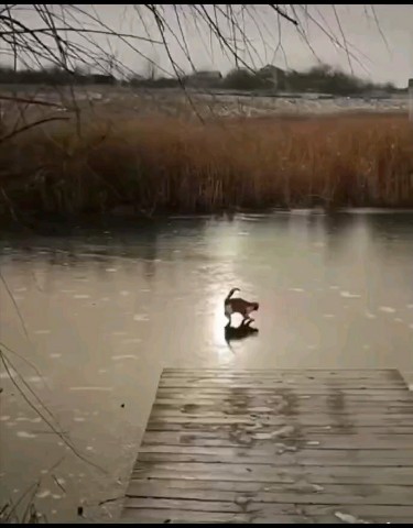 Looky_1695576157201 в LOOKY. #новый2024. Настроение предновог...