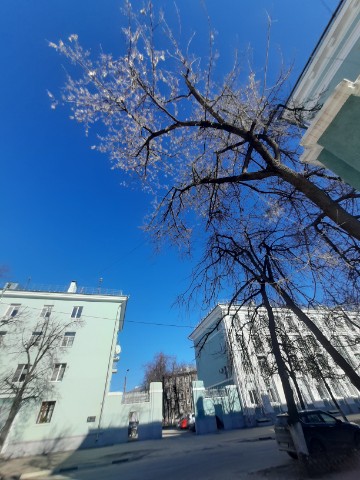 Atary в LOOKY. . 
