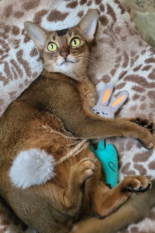 coraladycat в LOOKY. #любимка. Ура у Ма отпуск валя...