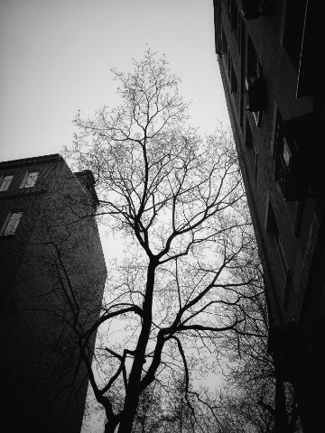 ZuZik2023 в LOOKY. . 