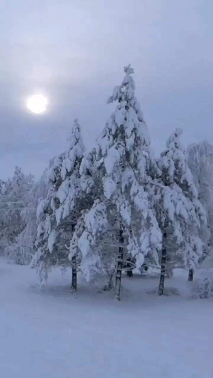Краснодарский край in LOOKY. #снег,#полтавская,#кубань. Зима в Красноармейск...