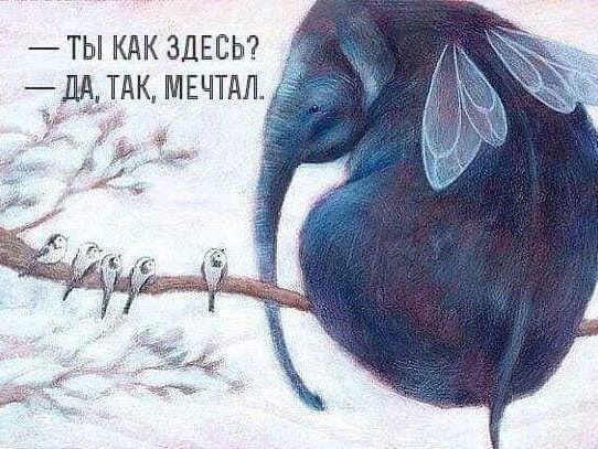 Катруся в LOOKY — Конечно, вот...

Иногда кажется, что мечта — это что-то далё
