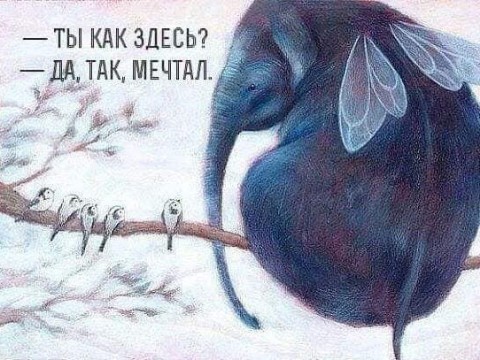 Катруся в LOOKY. . Конечно, вот...

Ино...
