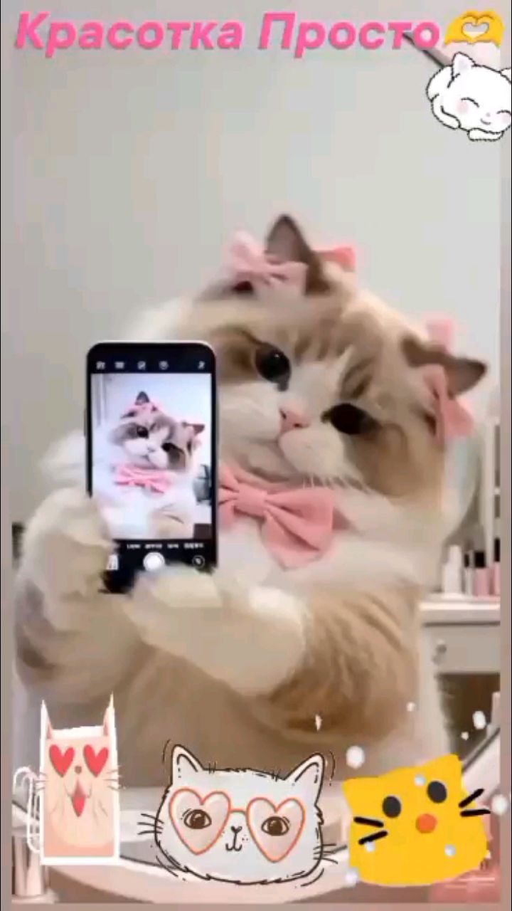  в LOOKY — публикация