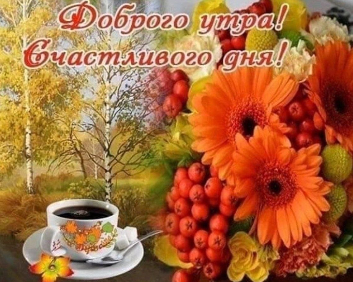 Looky_1675165962565 в LOOKY — публикация