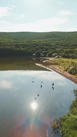 в LOOKY — Озеро Пресное, Приморский край!