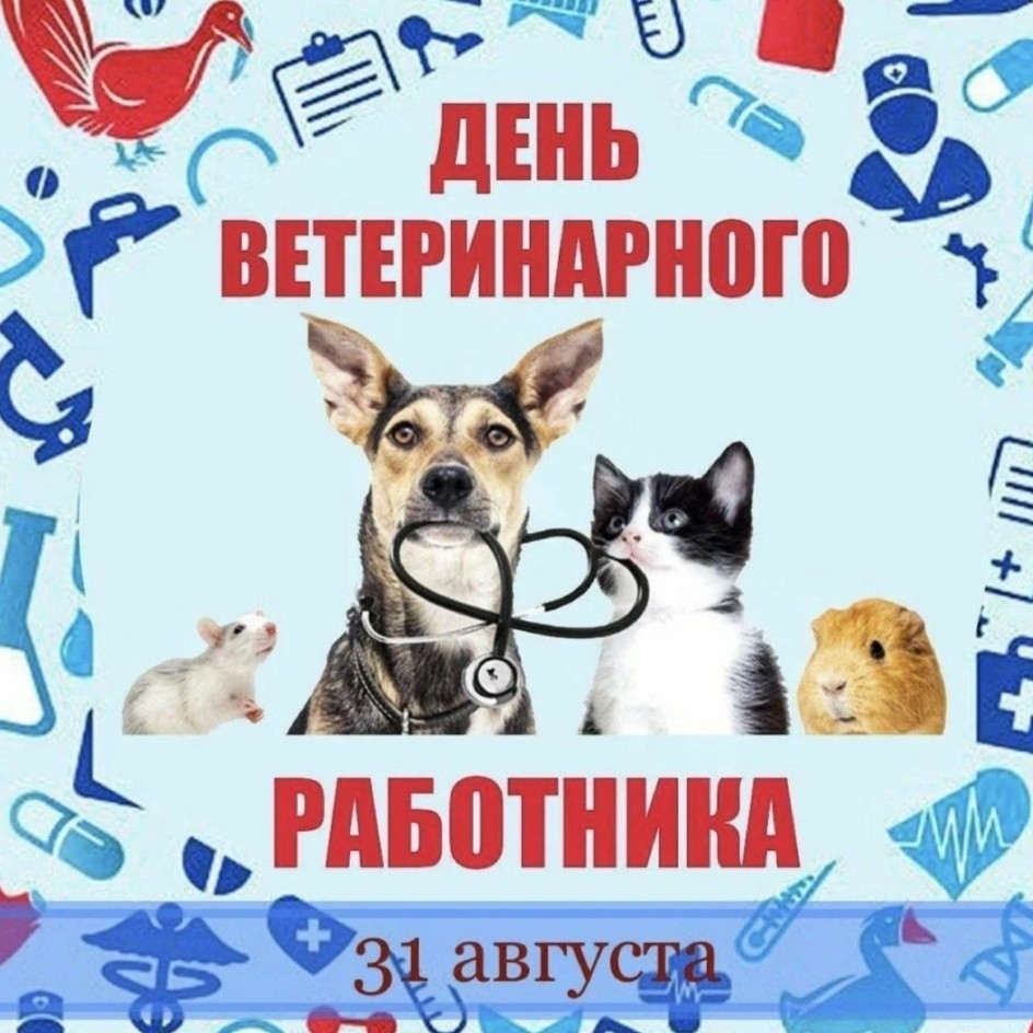 hobby_art в LOOKY — 🐶Поздравляем всех ветеринарных работников с профессиональны