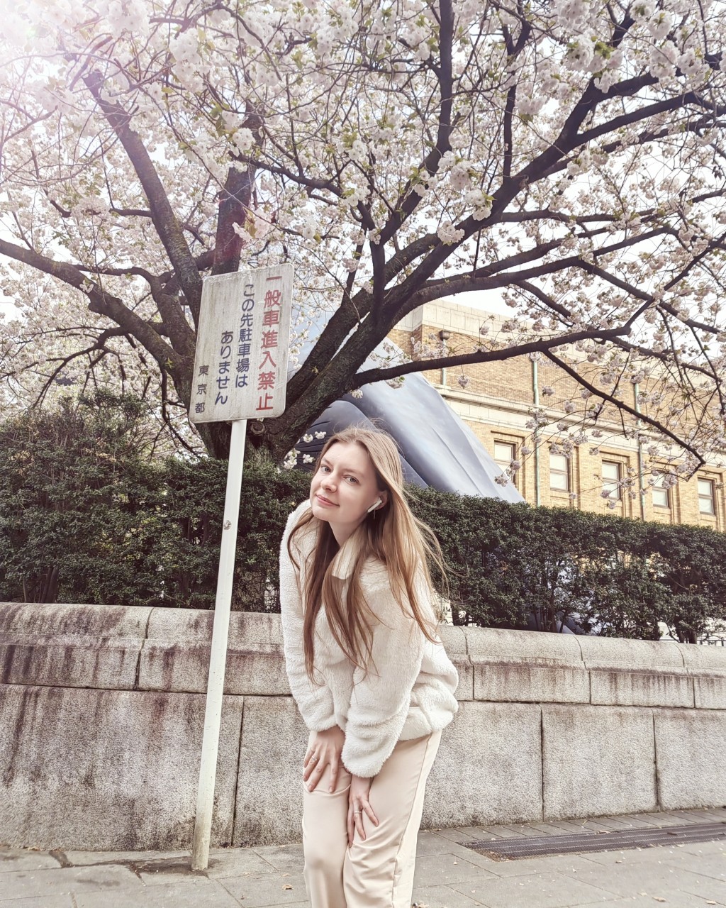 Просто #Весна  🌸

#Токио #Сакура #Розовый #Уэно #Япония [#цветы](цветы) 