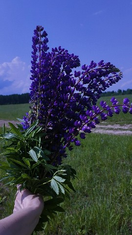helga_oskr_ в LOOKY. . Давно не заходила в ...