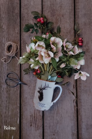 Алёна в LOOKY. #весна,#spring,#цветы,#still_life,#фото,#stilllife,#фотонатюрморт,#flower,#flatlay,#флетлей,#предметнаяфотография,#flatlaytoday,#раскладка,#раскладки. Если бы не было зимы...