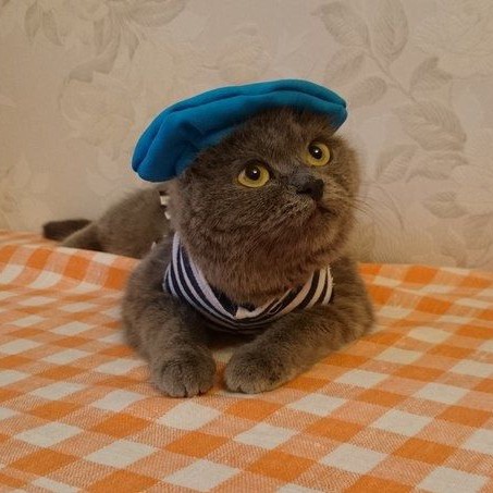 Кристина Лугина в LOOKY — фото 2