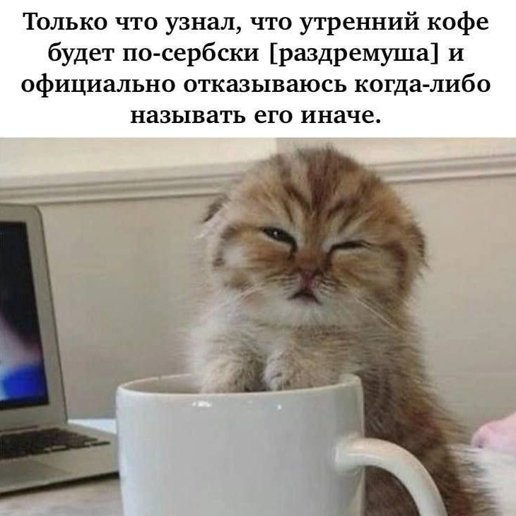 Лиззи Тойзер в LOOKY — С добрым утром ☀️